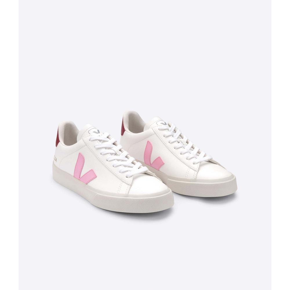 Low Tops Sneakers Barbati Veja CAMPO CHROMEFREE White/Pink | RO 293YXF